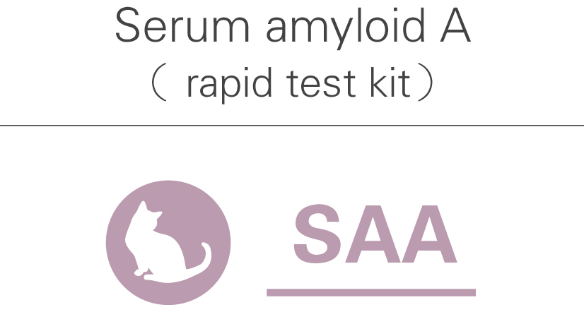 SAA