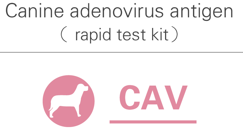 CAV