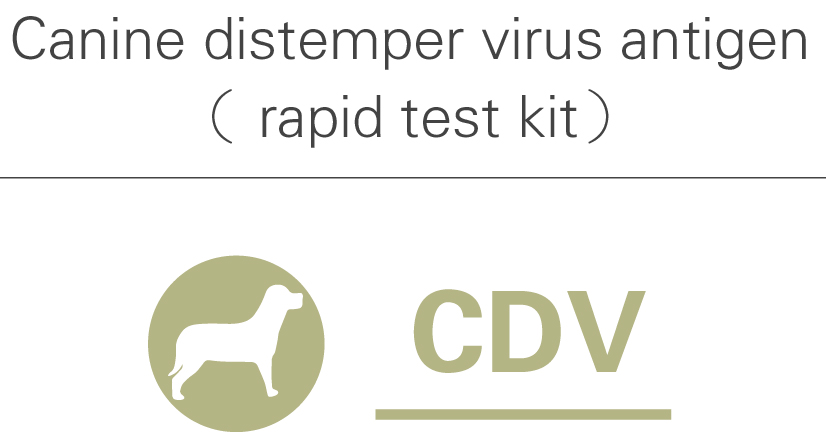 CDV