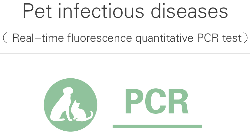 PCR