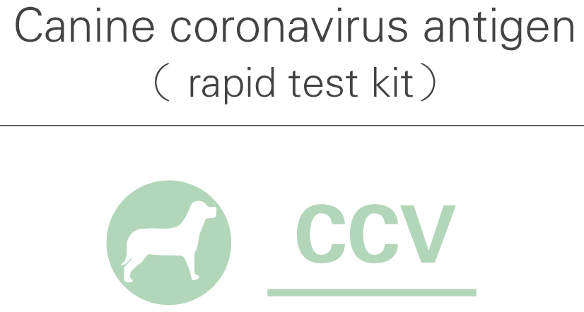 CCV