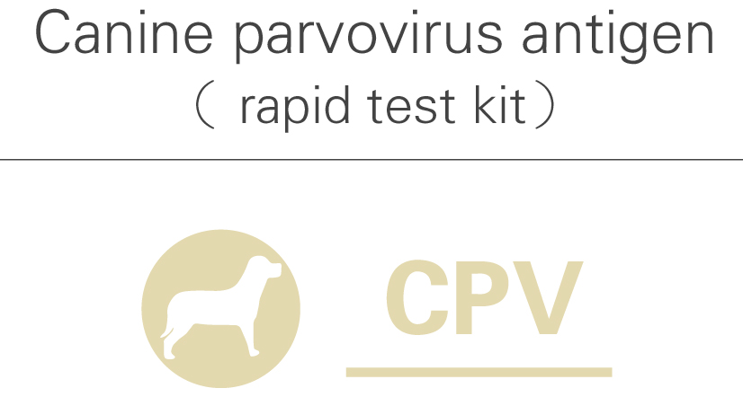 CPV